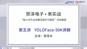【来实战】嵌入式平台部署深度学习模型： YOLO Face-50K讲解