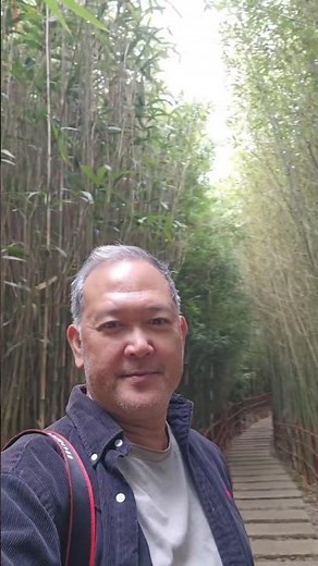 Walking in the Baguio Bamboo Sanctuary (free entry with donation only) #shorts