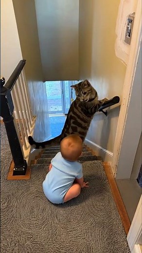 Cat Blocks Baby from Stairs! #shorts #cat #baby #safety #guardian