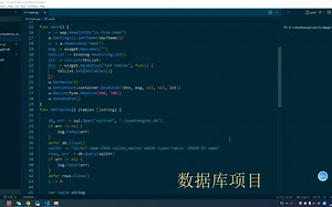 golang GUI框架fyne学习152：数据库项目1