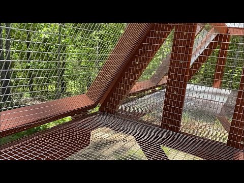 Racing pigeons loft sputnik trap outside set up-part 2