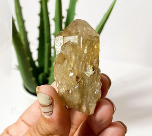 Raw Kundalini Citrine Point: 100% Natural Untreated Citrine, Stone of Manifestation - Etsy