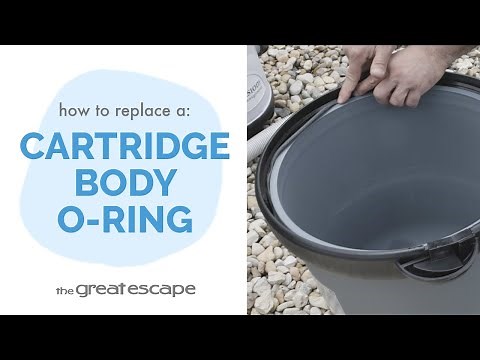 Seal the Deal: Replacing Your Pool Filter's O-Ring