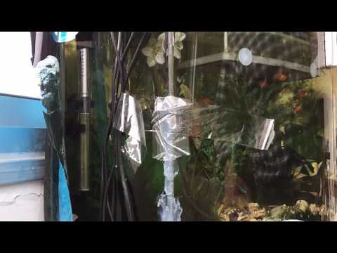Repair an aquarium leak without draining water