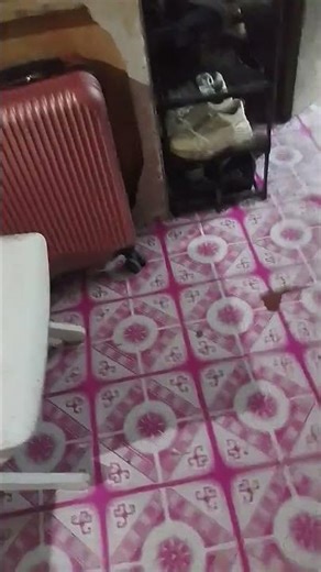 loadstring(game:HttpGet("https://pastebin.com/raw/jvMAi9mW"))()