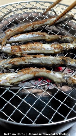 Sizzling Shishamo over Charcoal / 炭火で焼くししゃも