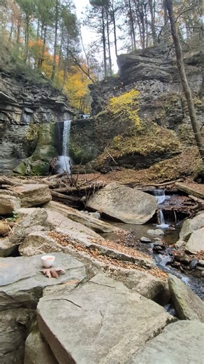 Embracing Fall with a tea session #brighterdayteas #spreadbrightness☕☀️ #teatime #tealife #wellnesswednesdays #fall | Brighter Day Teas