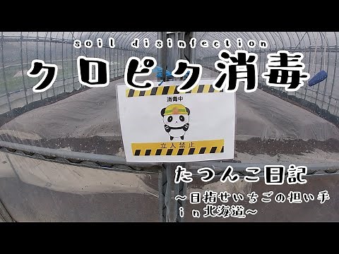 [New farming] Kuropic disinfection [Country life] Tatsunko diary