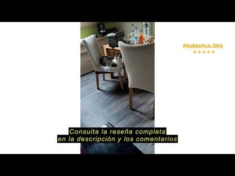 Reseña del Kerbl Pet Puntero LED Ø 12 * 80 mm