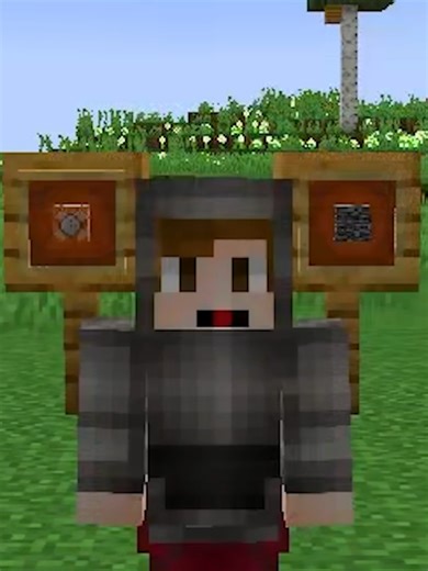 Minecraft Java vs Bedrock: Which Should You Choose?