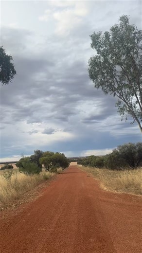 I stumbled upon Granny's old wildflower notes and found a fax from the early 2000s sharing the best wreath flower spots, sent by a friend from Morawa. It hit me - some things never change. People in Morawa still share their favorite wildflower spots, just now with drop pins and Google Maps instead of faxes. Do you still use a fax machine? When did you last use yours? The wreath flowers are done for 2025, but they'll be back next spring. . #morawa #australiasgoldenoutback #wildflowers #wreathflow