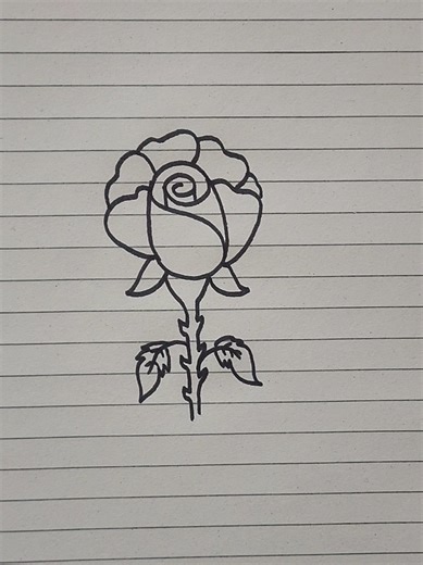 Easy Rose Drawing Tutorial for Beginners