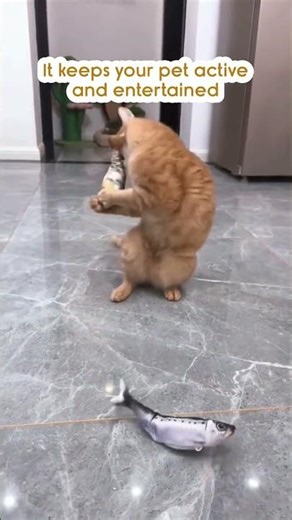 Interactive Electric Simulation Fish Toy For Cats And Dogs