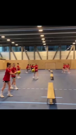 Master Handball Techniques for Physical Education