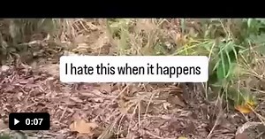 Just a random pokemon encounter - Video