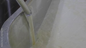 Milk pouring into cheese making vat for processing