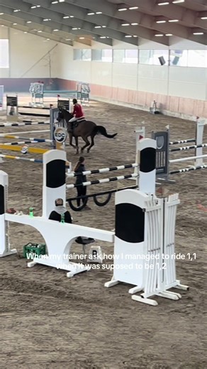 Show Jumping Tips: How I Rode a 1.1 Course Successfully