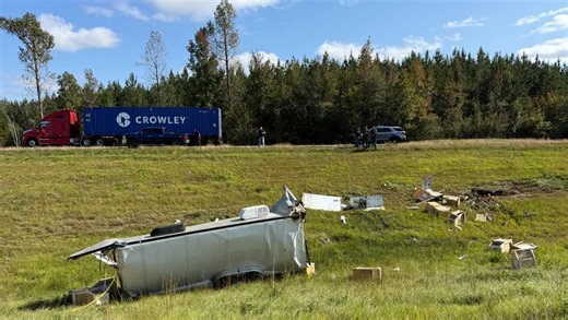 Mom shoots escaped monkey from Mississippi highway crash to protect her children