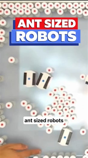 These Tiny Robots Can Build Cities