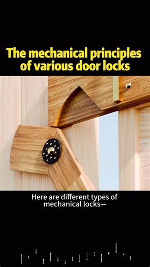 The mechanical principles of various door looks #knowledge #science