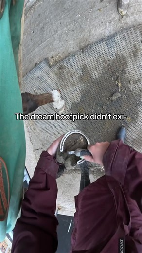 Red Horse Products ASMR Hoof Care