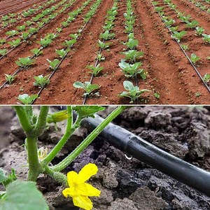 Drip Irrigation System | Installing | Types | for Garden | for Agriculture | Advantages