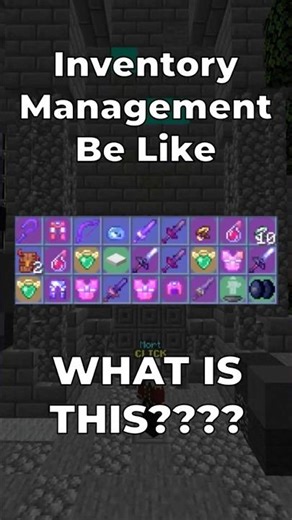Inventory Management Be Like | Hypixel Skyblock