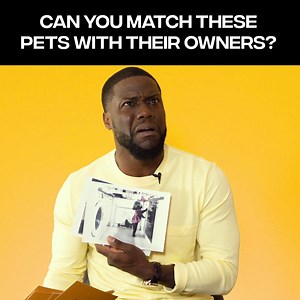 "I don't like cats - cats are sneaky" Kevin Hart tries to match pets with their owners, just by looking at their photos 😂😹🐶 | JOE.co.uk