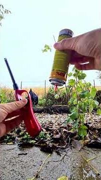 How to Refill a Lighter using a Butane Spray? (Gas, Valve, Nozzle, Upside down, Liquid, Fire)