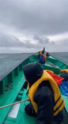 Terrifying Wave Hits Fishermen 🌊😱 | Nature’s Raw Power