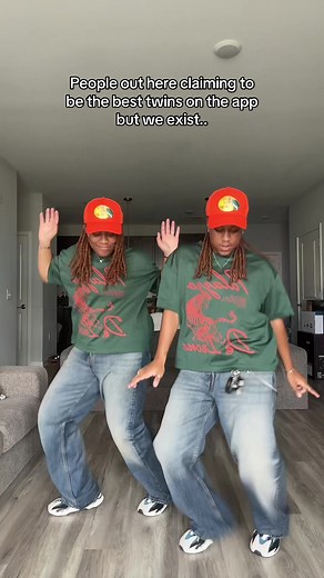 Exploring Famous Twin Dynamics on Social Media
