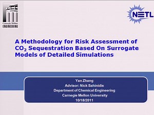 A Methodology for Risk Assessment of CO2 Sequestration Based On Surrogate Models of Detailed Simulations