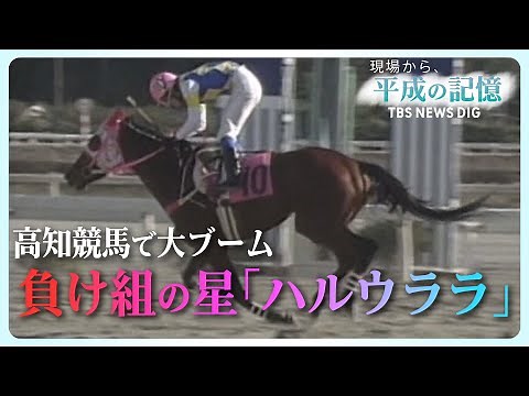 【113連敗】地方馬なのに…武豊騎手と“夢の競演”！一体なぜ？負け続け、愛された名馬「ハルウララ」とは【平成の記憶】（2018年12月26日放送）