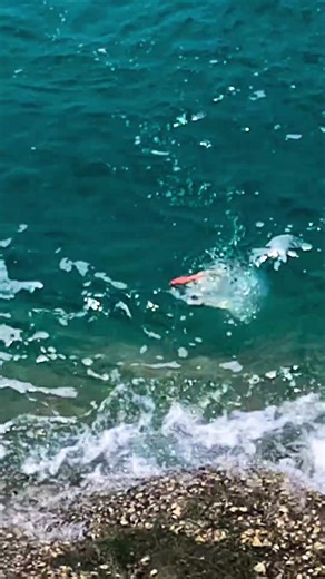 Exciting Fishing Adventure at the Ledge