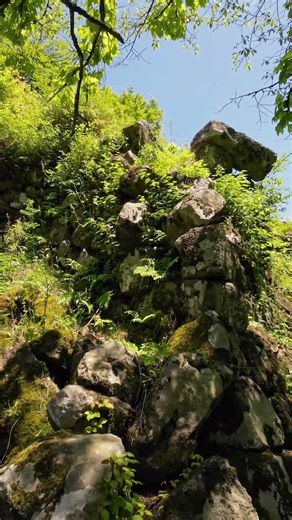 20260510山城 八木城跡 #shorts #山城 #八木城跡 #養父市