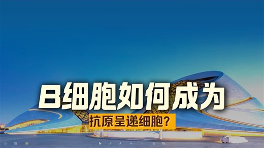 23、B细胞是抗原呈递细胞？