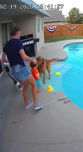 Hero Dog Saves Toddler from Pool Edge – Caught on Backyard Security Cam!