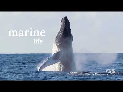 Your perfect getaway along the California Coast | Princess Cruises