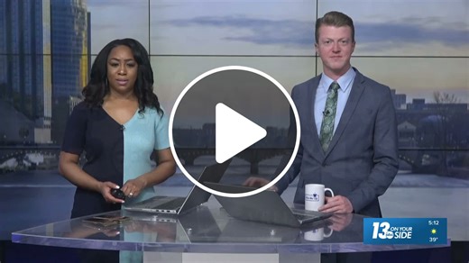 SNOW FLEAS? | Why you might notice bugs on the snow during warm weather - NewsBreak