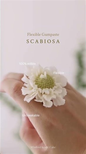 WKC Flexible Gumpaste🙌🏼 #WKCFlexiblegumpaste Stretches so well when working with it