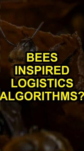 Bees Inspired Logistics Algorithms