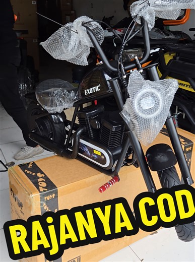 Harley Mini: The Ultimate Compact Ride