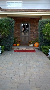 735 reactions · 25 comments | Don’t leave home without it.. or him 來 | Bre Tiesi | Facebook