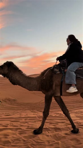 Out and about #fyp #travel #CapCut | travel