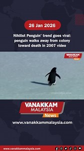 Nihilist Penguin’ trend goes viral: penguin walks away from colony toward death in 2007 video #latest #vanakkammalaysia #Nihilist #Penguin #trend #goes #viral #penguin #walks #away #colony #toward #death #2007 #video #trendingnewsmalaysia​ #malaysiatamilnews​ #fyp​ #vmnews​ #foryoupage | Vanakkam Malaysia
