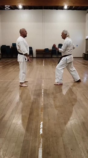 6.5K views · 111 reactions | A couple of basic bunkai/applications. | Matthew Clark | Facebook