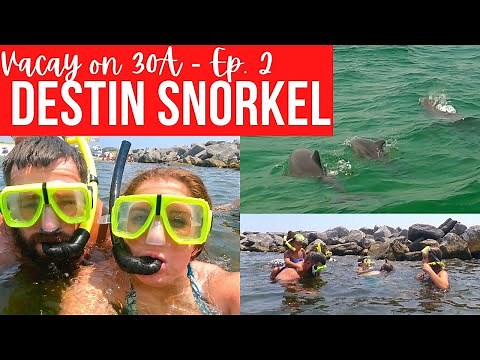 Snorkeling with Five Kids!! || DESTIN SNORKEL + DOLPHIN TOUR