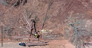 Crane manipulator loads cut tree logs into truck in construction site