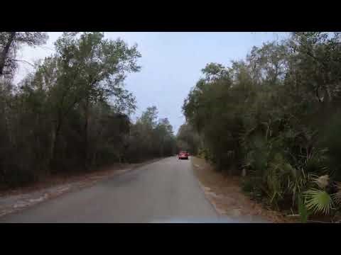 Driving into Blue Spring State Park, Florida | December 2025 | 4K