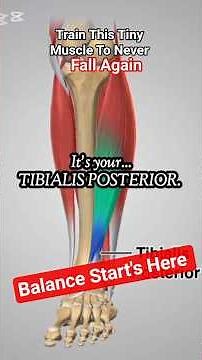 Seniors: Fix This Muscle To Never Fall Again #ballance